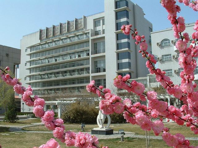 操逼视频,操逼视频